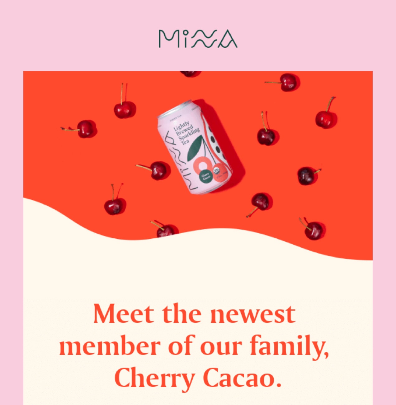 blog-Designed-Email@2x