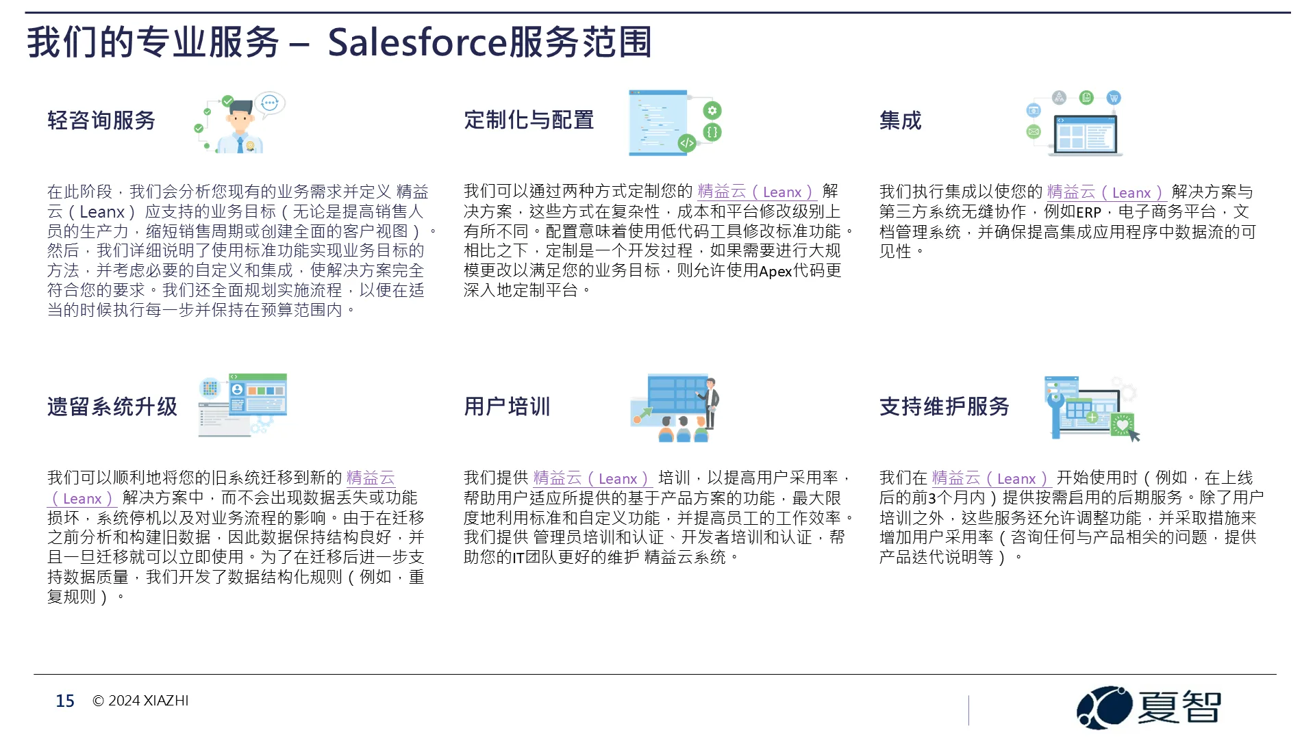 夏智公司-专业服务范围