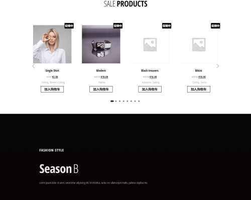 website-01
